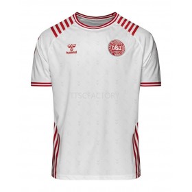 Denemarken Special Euro Uit Shirt 2022